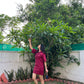 DENIM RIVID DRESS - DARK PINK
