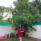 DENIM RIVID DRESS - DARK PINK